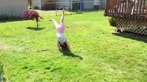 Try Not To Laugh - Funny Kids Fails