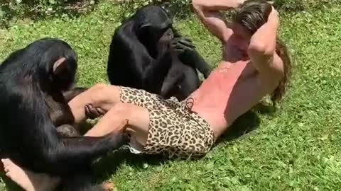 funny monkey