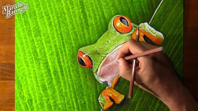 Draw The Texture Shape Of Frog Skin