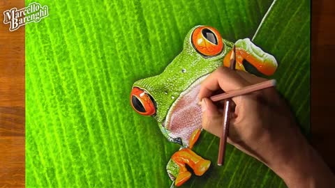 Draw The Texture Shape Of Frog Skin