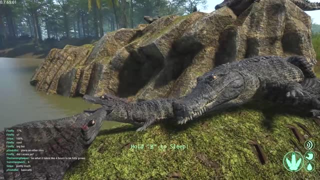 Giant Crocodile Family!