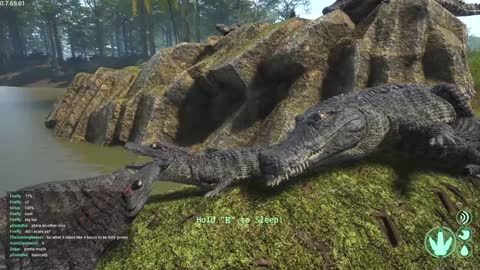Giant Crocodile Family!
