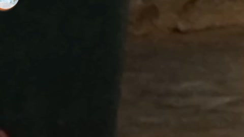 Pourquoi les moineaux préfèrent les vieilles maisons ?