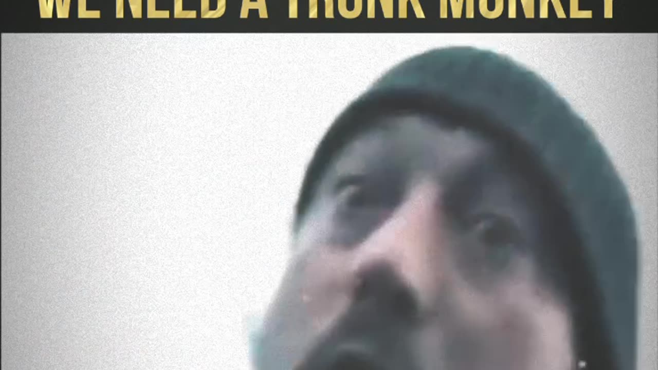 We Need A Trunk Monkey #trumph, #election