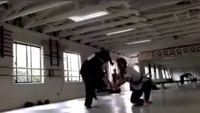 Hapkido