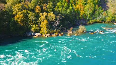 Nature ! Autumn ! 4K ! Relaxation