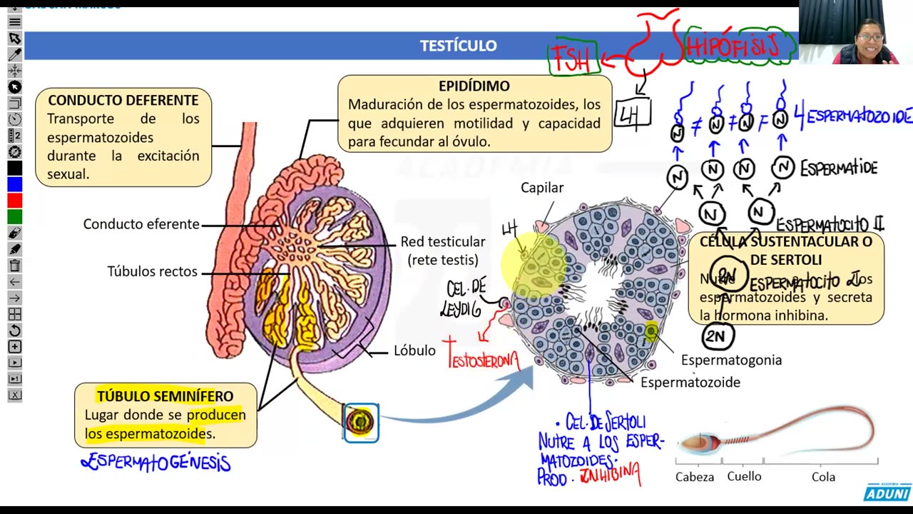 ANUAL ADUNI 2023 | Semana 35 | Literatura | Cívica | Biología