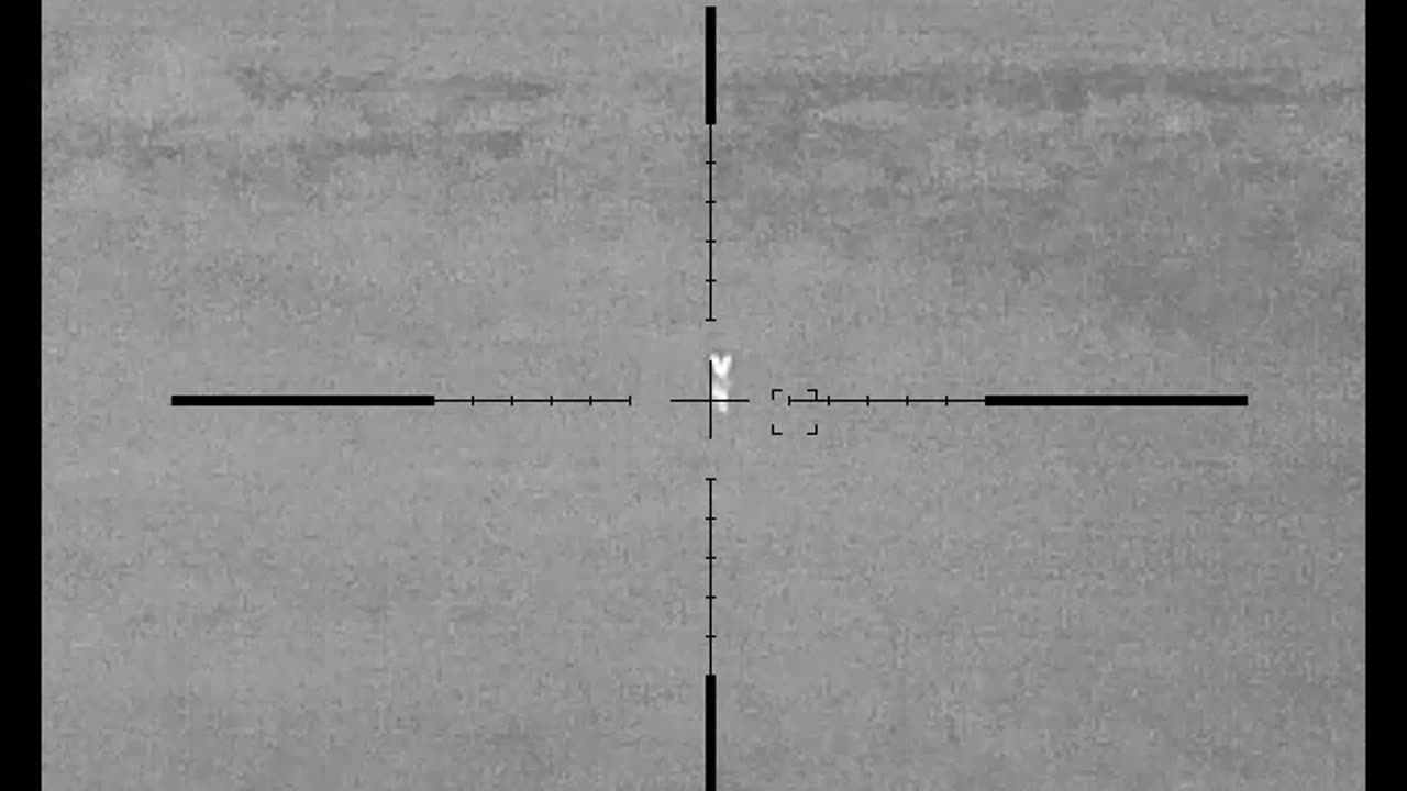 Nvision halo xrf idaho