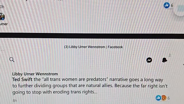 Libby Wennstrom Hate Group says we are Eroding Trans Rights as they take our Rights Away.