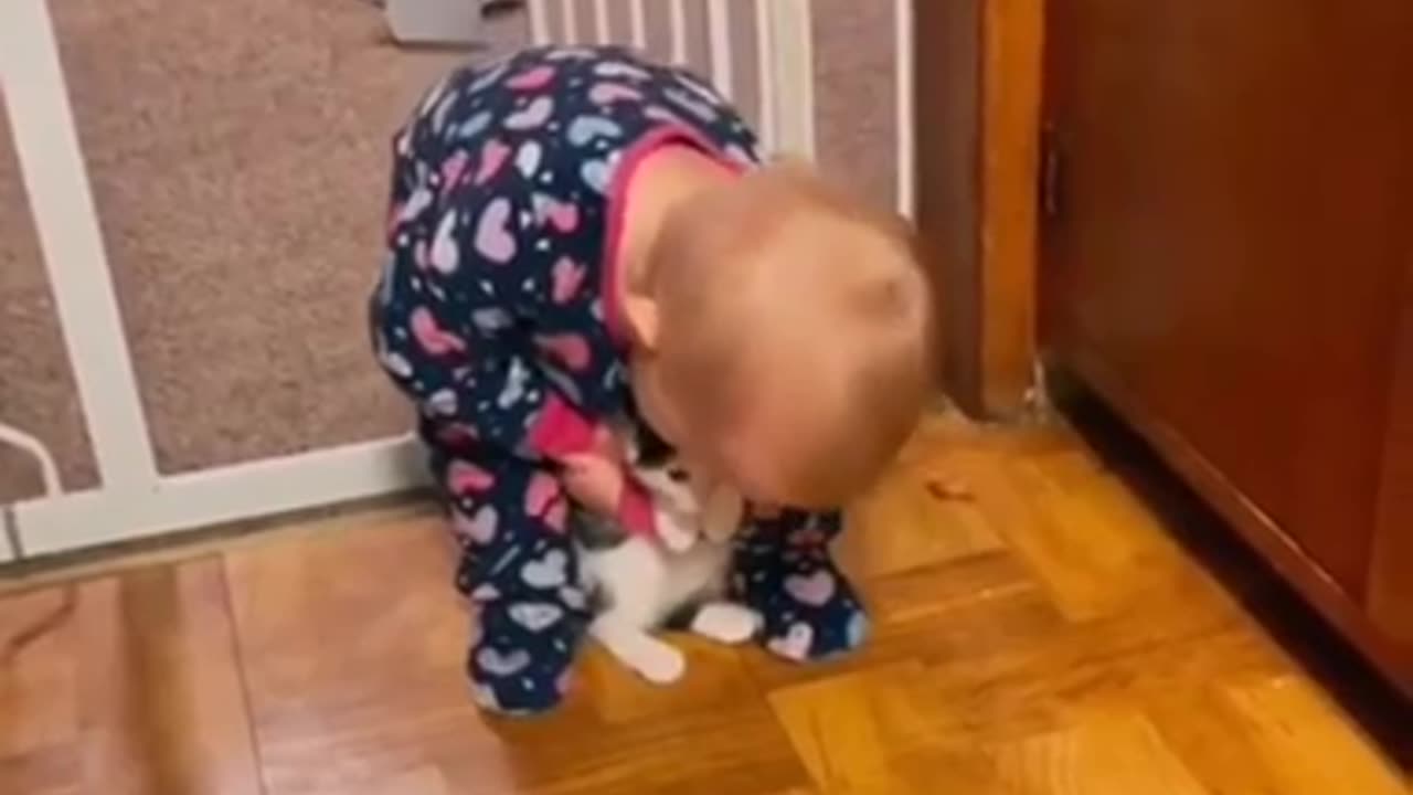 Baby Playing With Dog Video Compilation Cute Baby and Pets Video