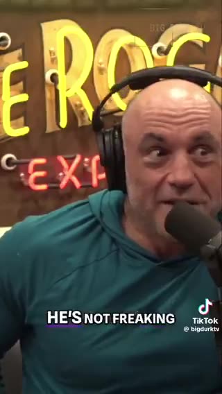 Karli Bonne’ - The day of the election Trump had been up for 72 hours