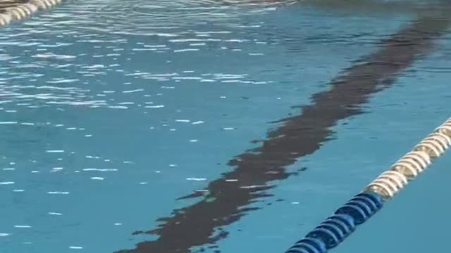 How sprinters get to the other side of the pool!
