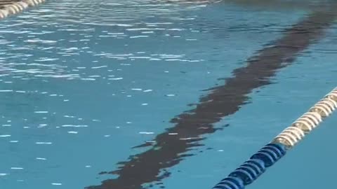 How sprinters get to the other side of the pool!