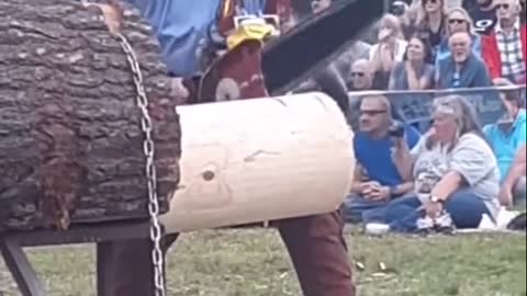 most famous wood cutting tournament, and here is the winner