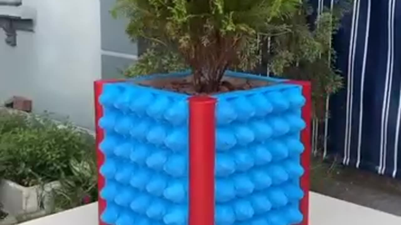 Amazing gardening ideas let's do it guy's 🥰