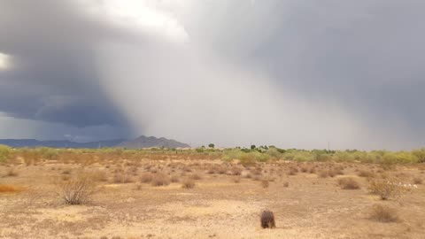 Storm north phoenix