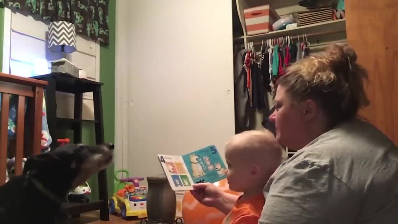 Funniest Baby Try To Read: What's New Baby? Cute Babies Videos