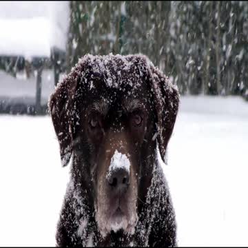 Winter is coming. Don't let those who truly love you freeze.