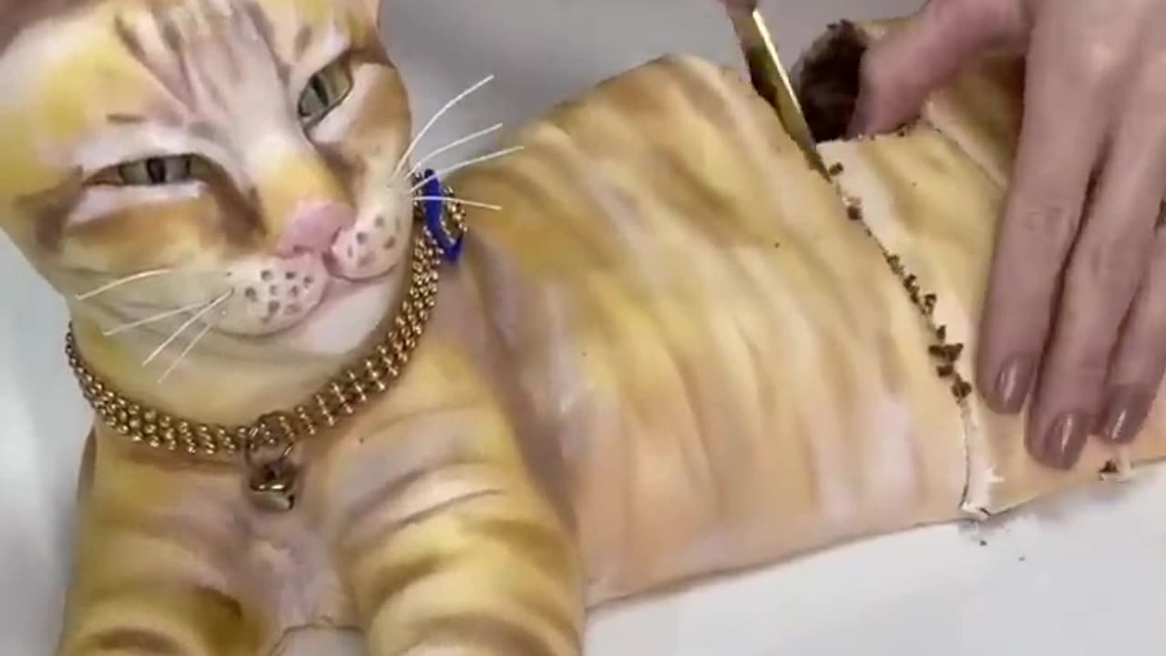 Cat cake design