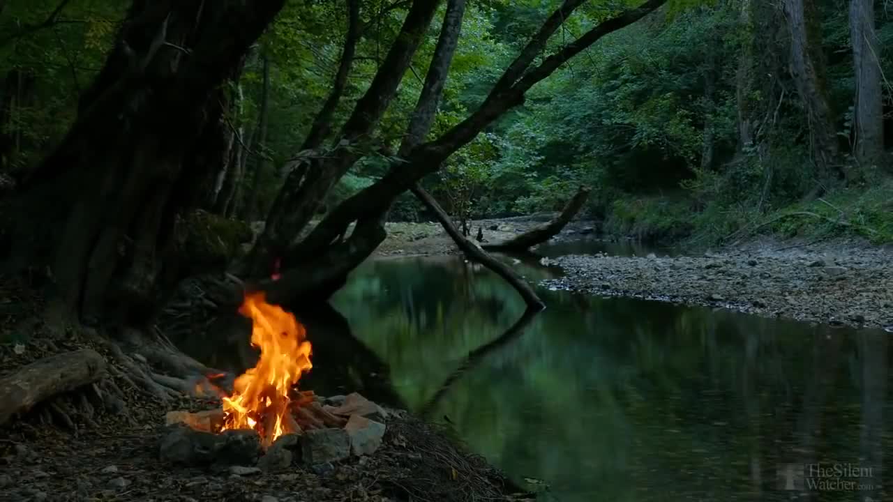 Relaxing sounds of a bonfire by the river, sounds of nature HD Relaxing Music.