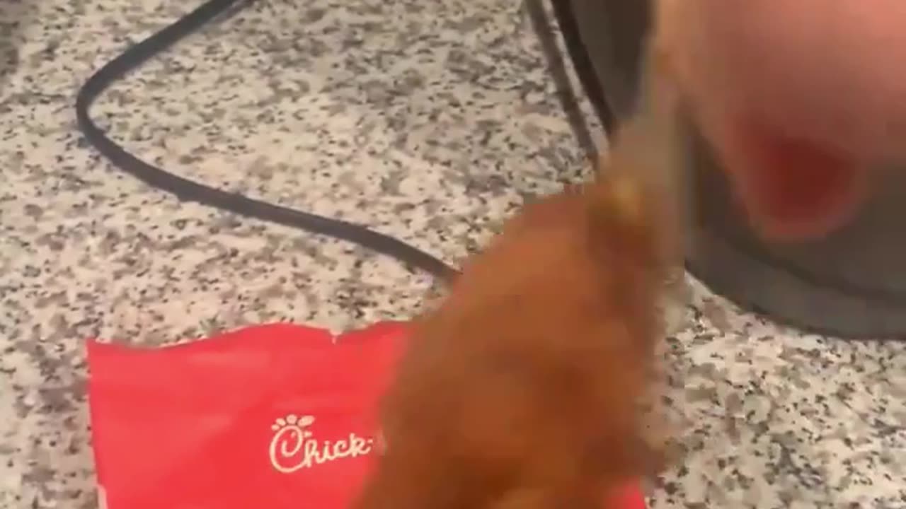 Woman Finds PLASTIC in Chic-Fil-A Sandwich