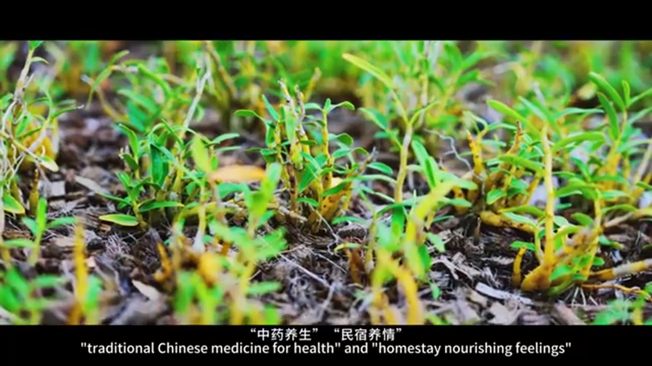 Tianzhushan --- UNESCO Global Geopark, A Famous Chinese Cultural Mountain