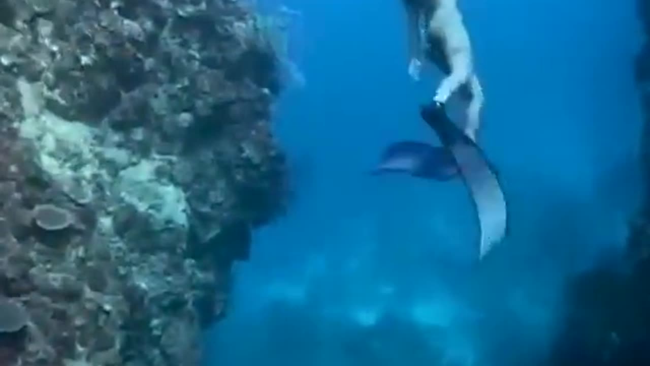 Free diving is more fun in the Philippines