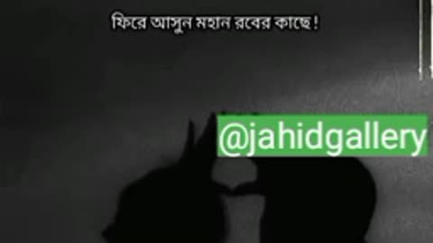 Story