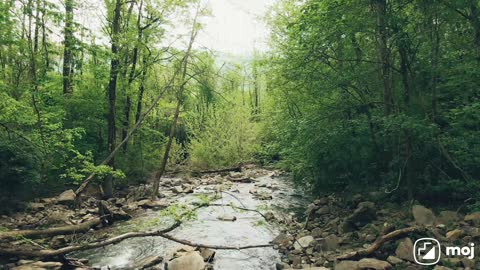 Feel the Nature vibes &see the Beautiful nature 🏵️🌻🌻☺️