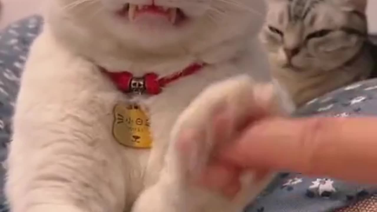 Cute๐๐