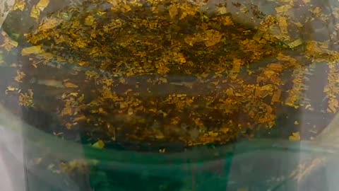 How To Make Gold with MotherBoards 2023