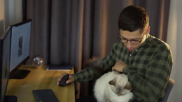 Young guy looking at screen traiding online from home office sit with cute white fluffy cat