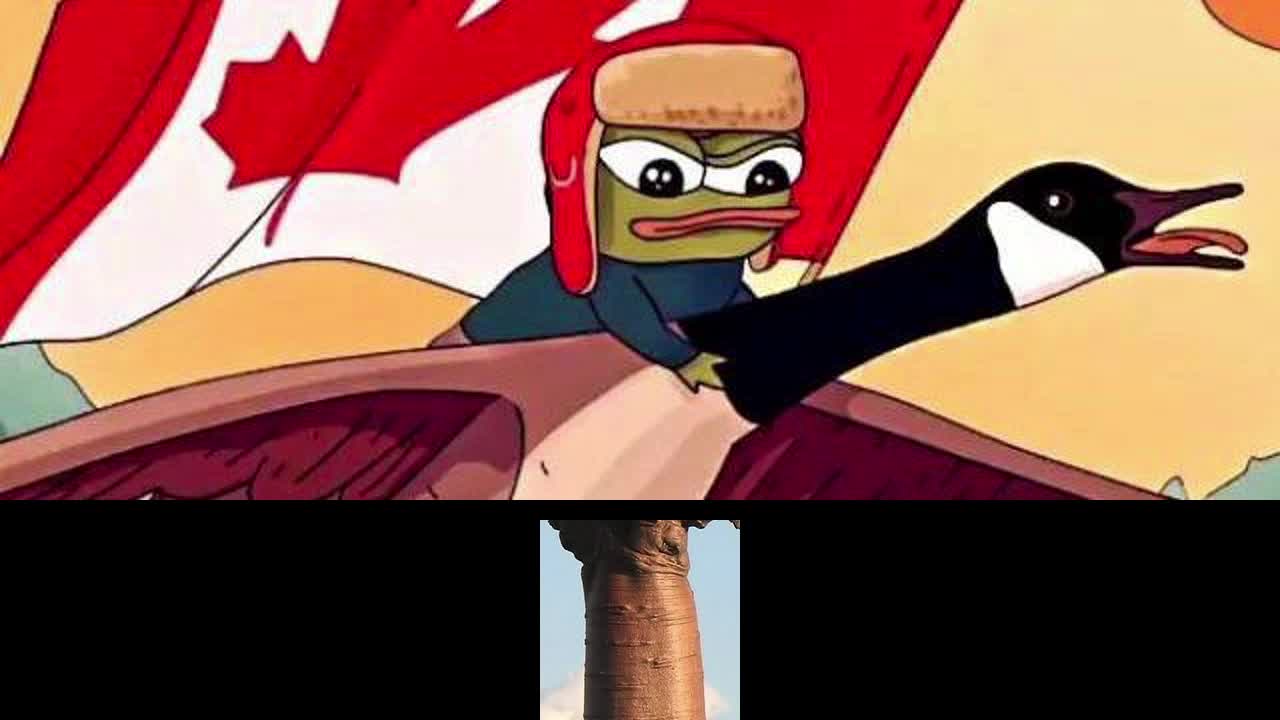 Fixing Canada