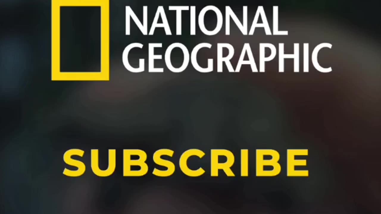 National Geographic is now on Telegram!