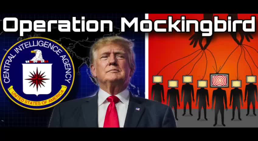 Operation Mockingbird: Wie das CIA-Programm zerschlagen wird 01. Januar 2023