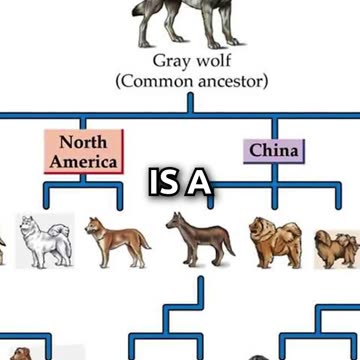 Richard Dawkins’ BIGGEST Mistake