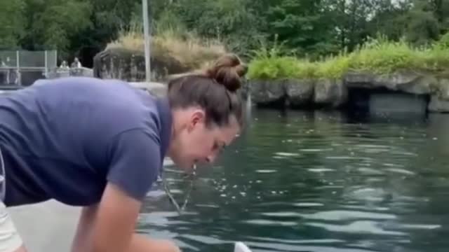 Cutest dolphin🥰