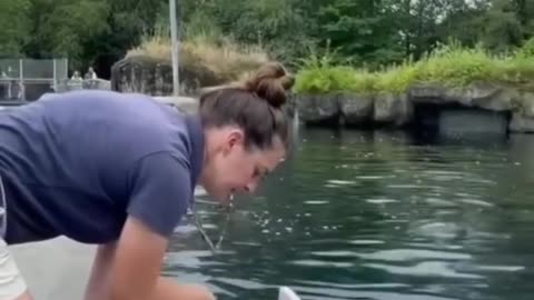 Cutest dolphin🥰
