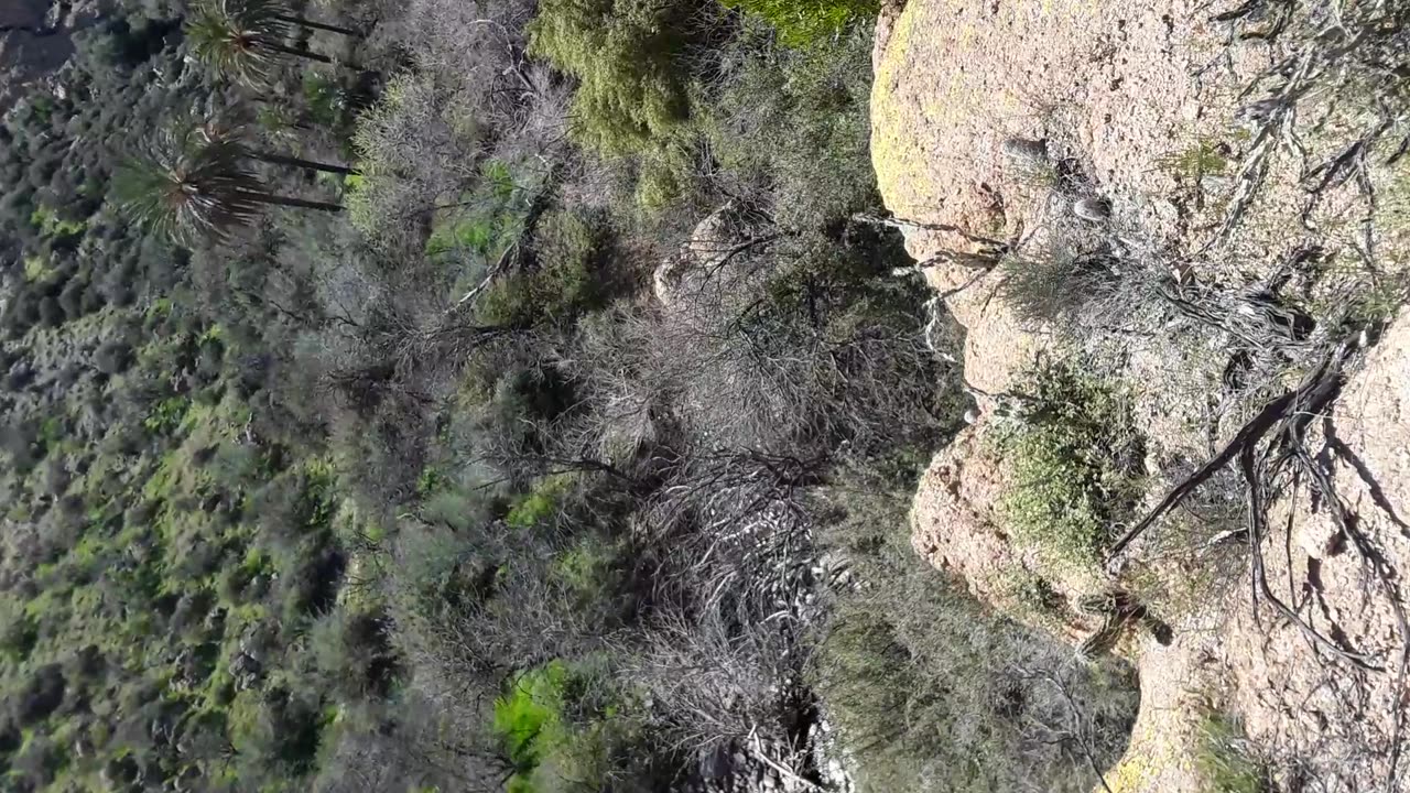 A nice 75 degree "winter" day in the desert at the Boyce Thompson Arboretum