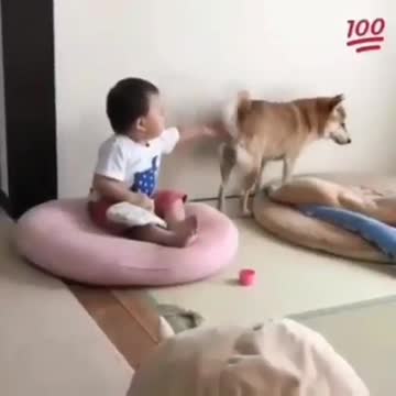 See what the kid is doing on this dog hahaha