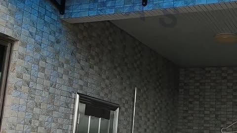 outdoor shade canopy