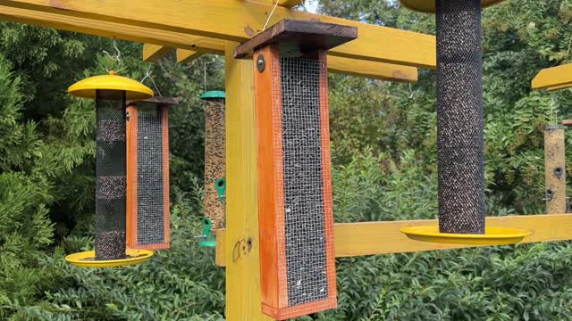 DIY Mesh Bird Feeder | Goldfinches, Chickadees, and Woodpeckers! | How-to Guide