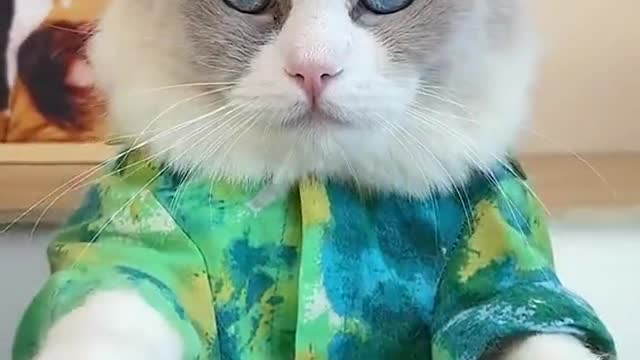 Wait! What went wrong exactly!