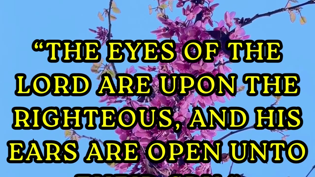 “The eyes of the LORD are upon the righteous, and his ears are open unto their cry.”