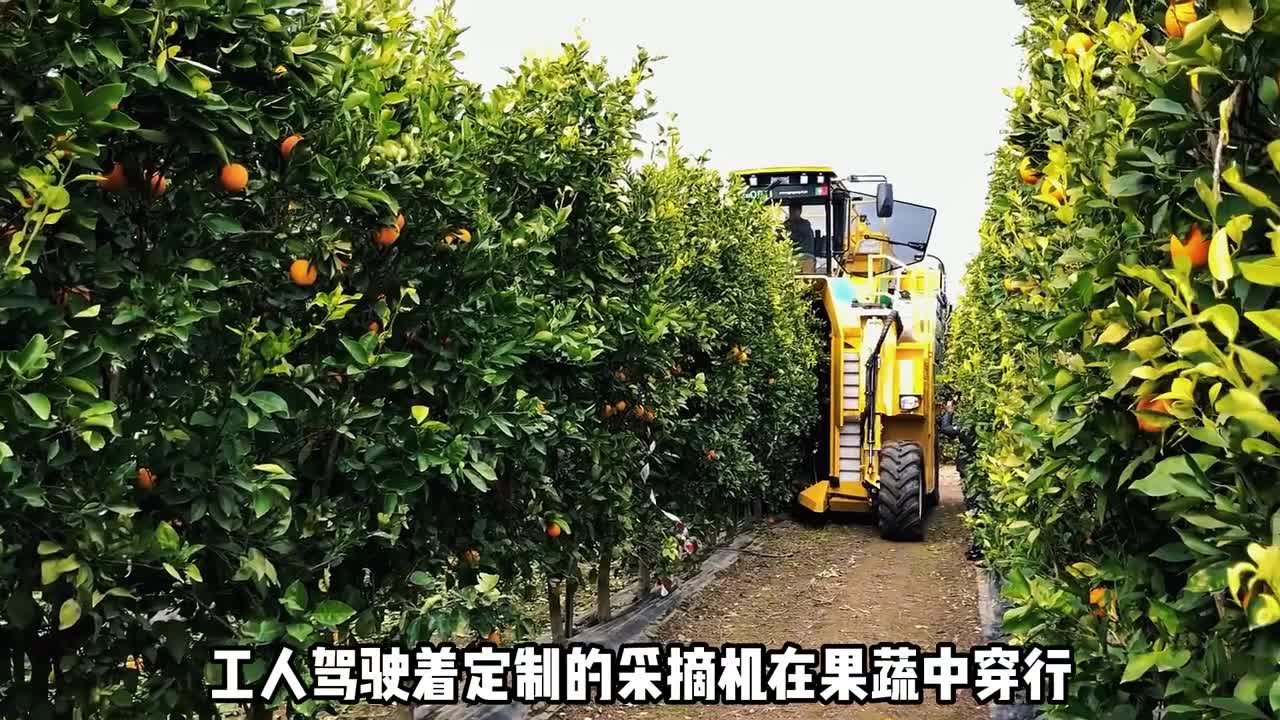 Do you know the factory is likeWhat made freshly squeezed orange juice