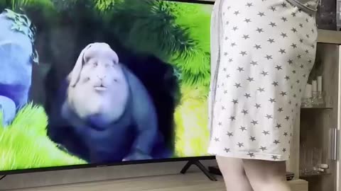 Funny Entertainment