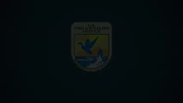 Protecting Snowy Plover Nesting Areas From Human Disturbance_2