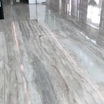 "When Furry Friends Throw Down: Hilarious Animal Altercations That Will Leave You ROFL!"