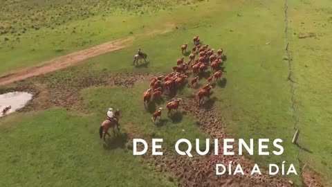 Día del trabajador rural