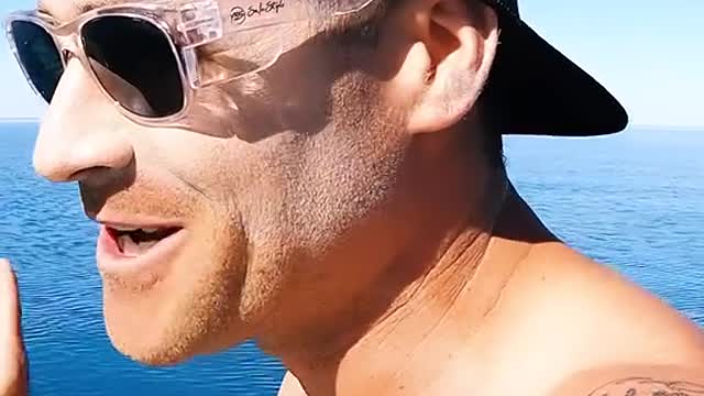 sea snakes normally avoid humans but this time of year they become very active